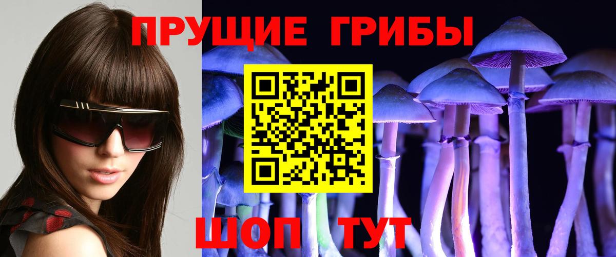 Самара  Галлюциногенные грибы GOLDEN TEACHER  Вход с VPN 